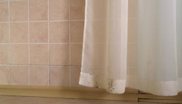 Best Mold Removal for HVAC Installations  in Mill City, OR