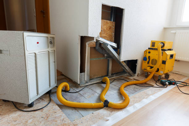 Best Post-Construction Mold Inspection  in Mill City, OR