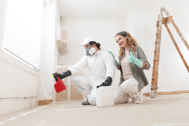 Professional Mold Removal in Mill City, OR